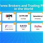 best bet brokers